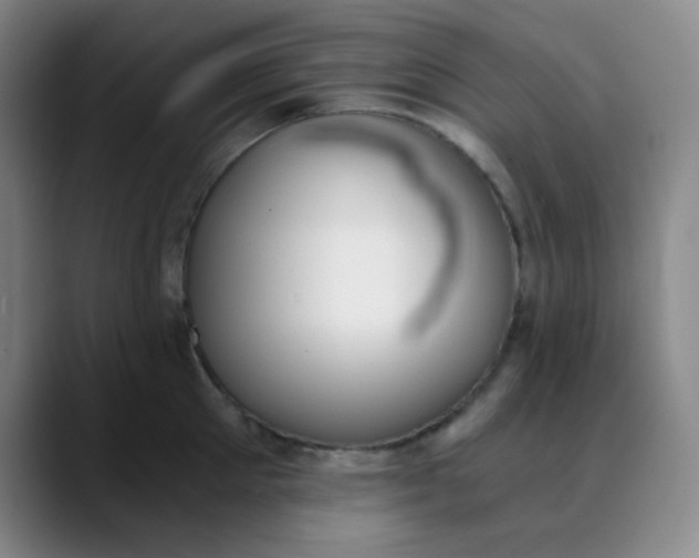X0000089850905200707121716