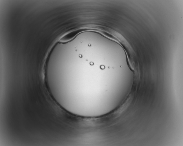 X0000089850908200707121715