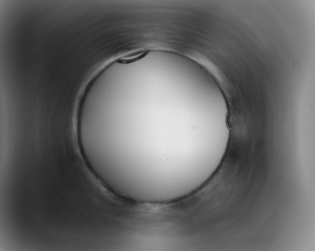 X0000089850910200707121715