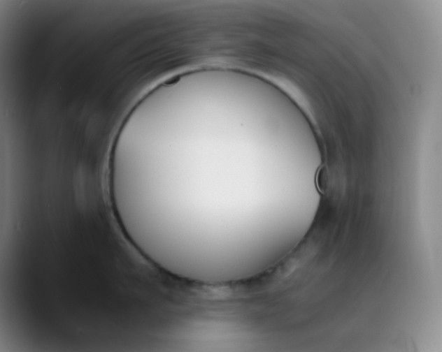 X0000089850911200707121715