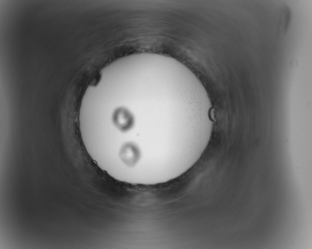 X0000089850913200707121715