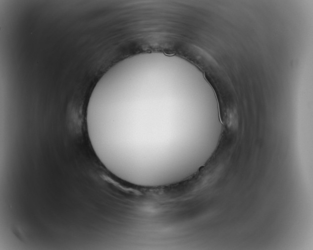 X0000089850915200707121715