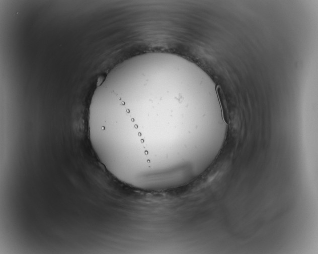 X0000089850916200707121715