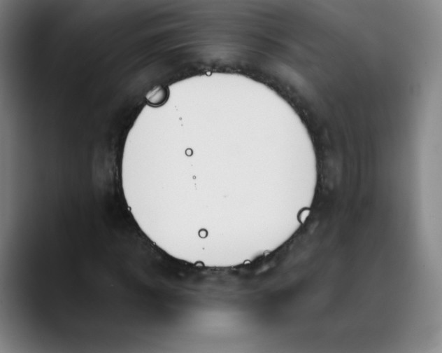 X0000089850918200707121715