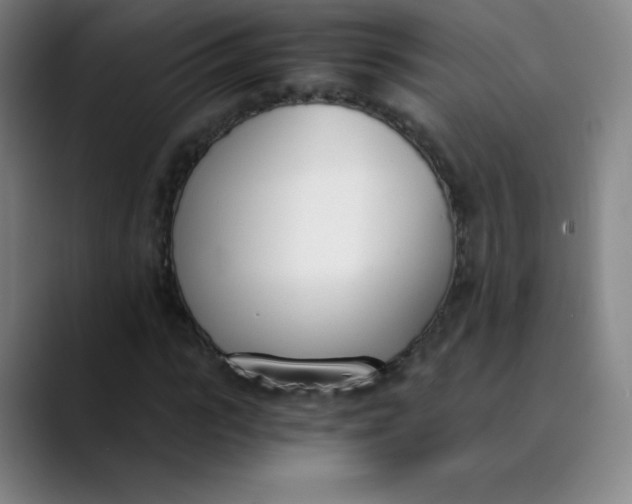 X0000089850919200707121715