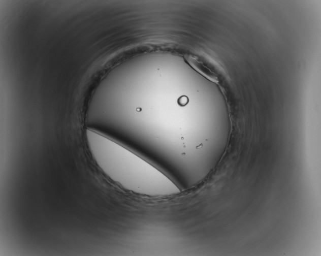X0000089850920200707121715