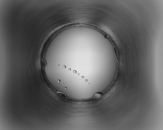 X0000089850924200707121715