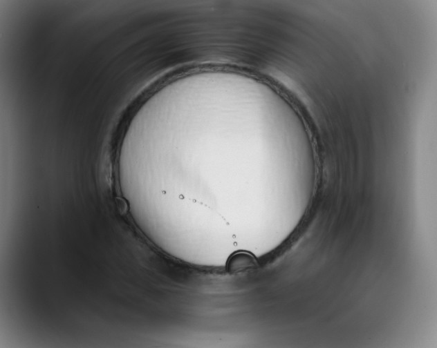 X0000089850925200707121715