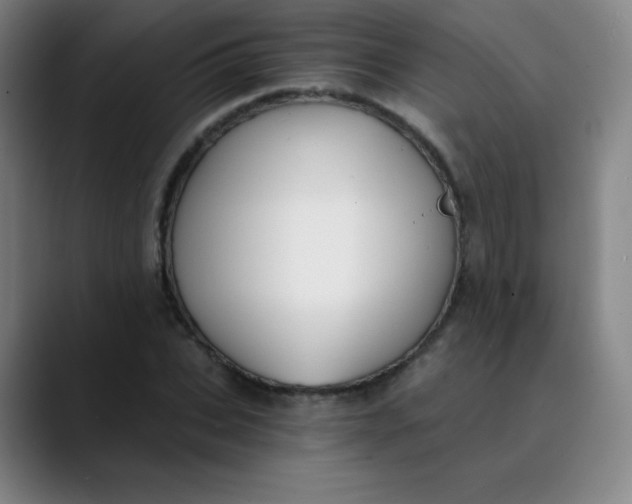 X0000089850927200707121715