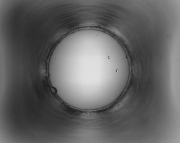 X0000089850929200707121715