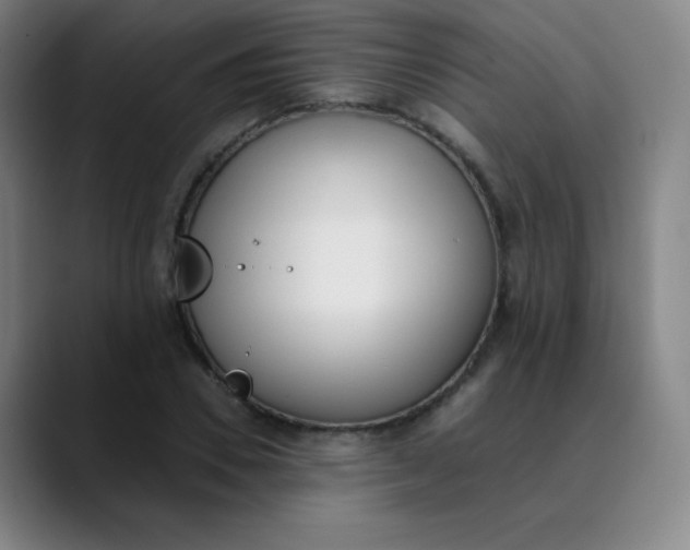 X0000089850930200707121715