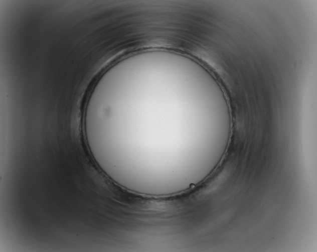X0000089850933200707121715