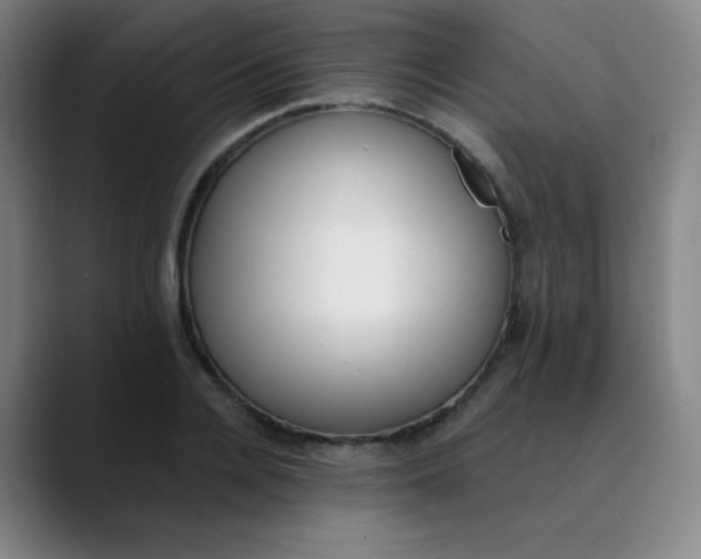 X0000089850936200707121715