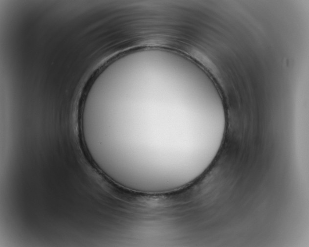 X0000089850939200707121715