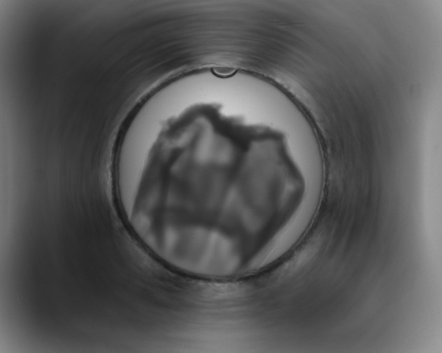 X0000089850941200707121715