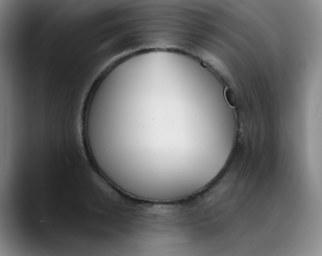 X0000089850942200707121715