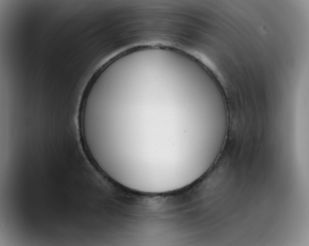 X0000089850943200707121715