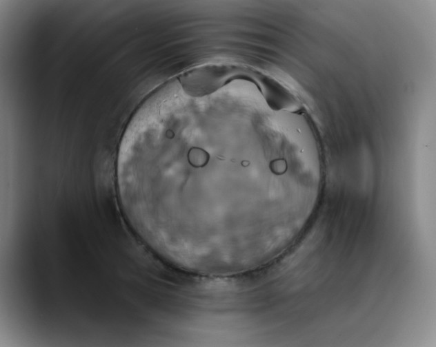 X0000089850945200707121715