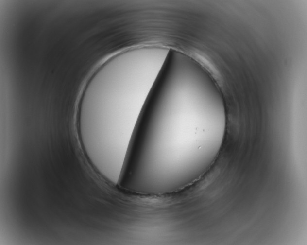 X0000089850948200707121715