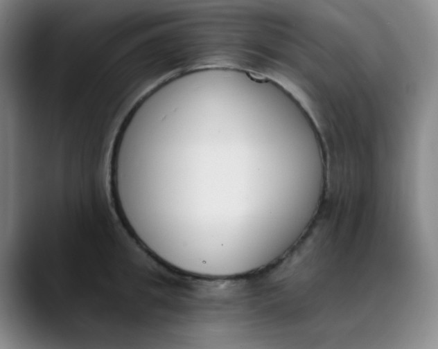 X0000089850949200707121715