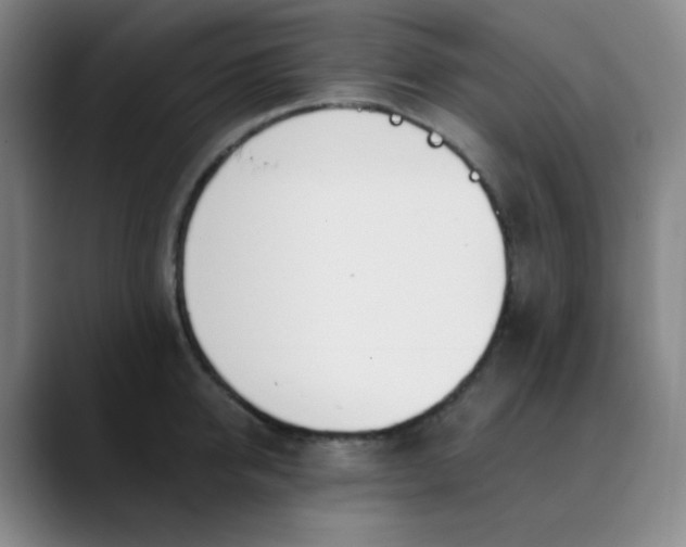 X0000089850950200707121715
