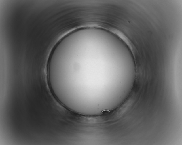 X0000089850951200707121715