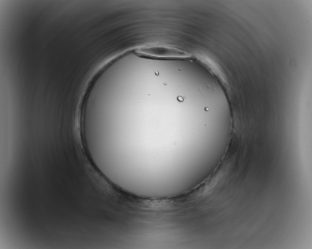 X0000089850952200707121715