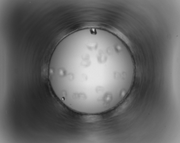 X0000089850953200707121715