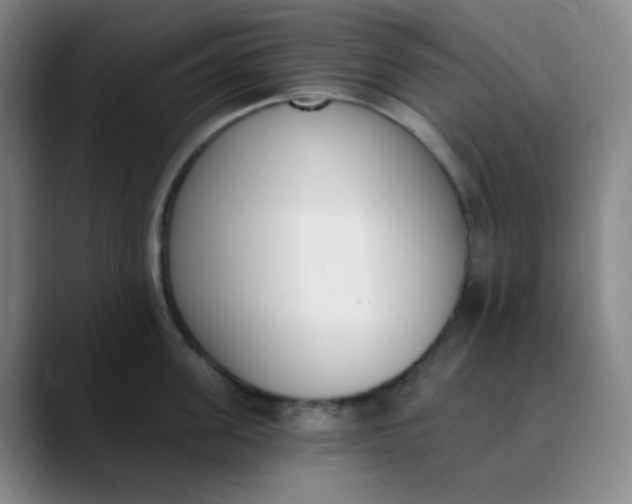 X0000089850955200707121715