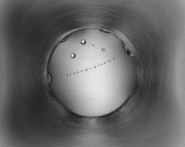 X0000089850956200707121715