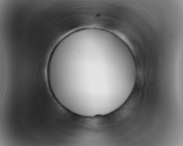 X0000089850959200707121715