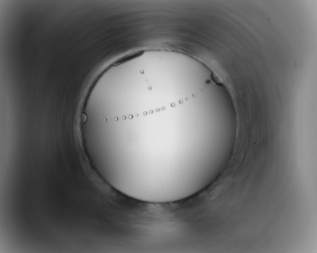 X0000089850960200707121715