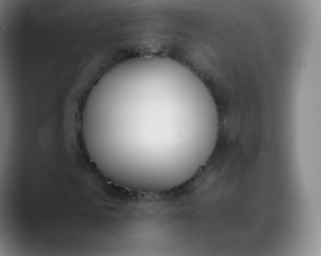 X0000089850961200707121715