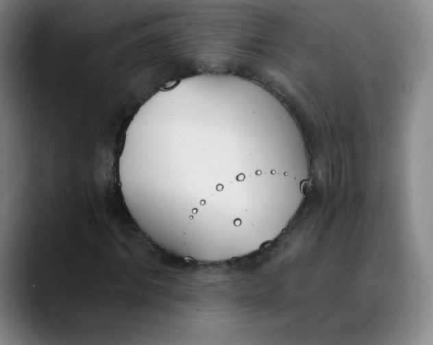 X0000089850964200707121715