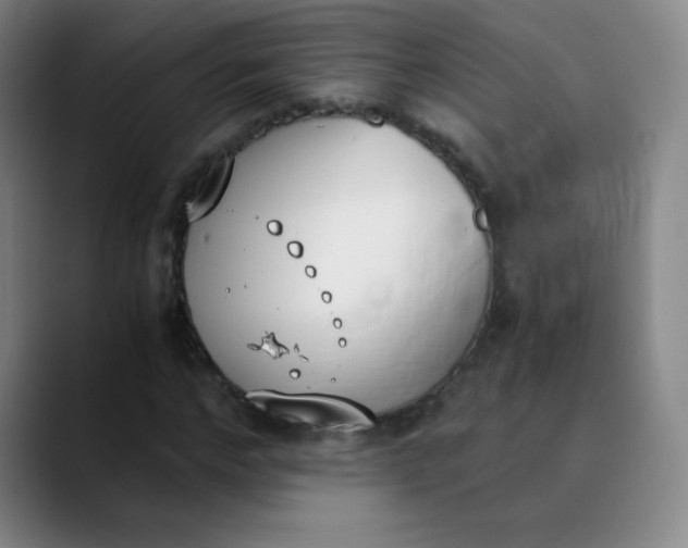 X0000089850968200707121715