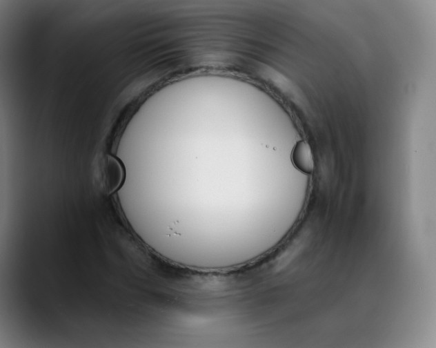 X0000089850970200707121715