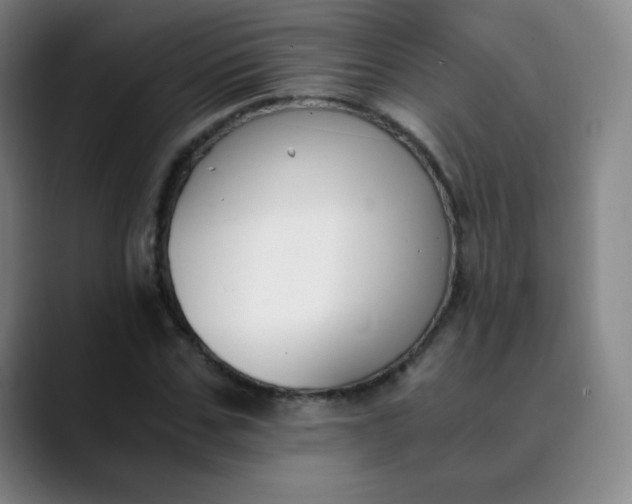 X0000089850971200707121715
