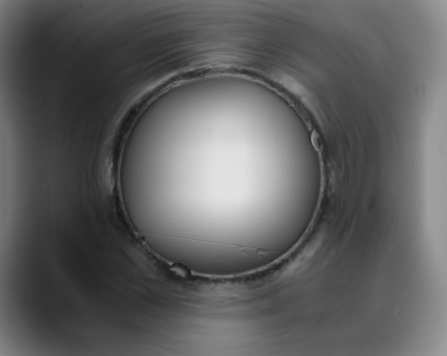 X0000089850973200707121715