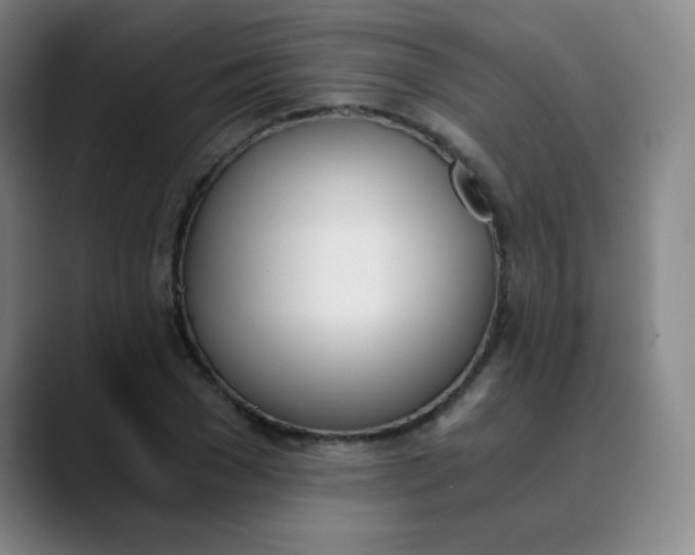 X0000089850977200707121715