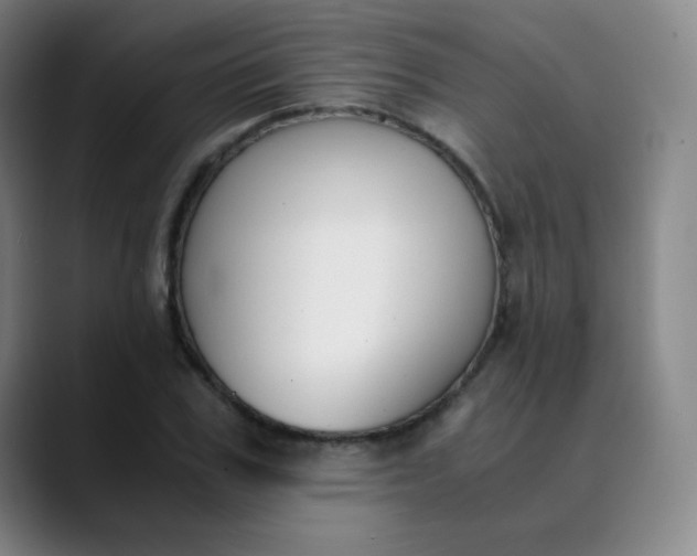 X0000089850979200707121715