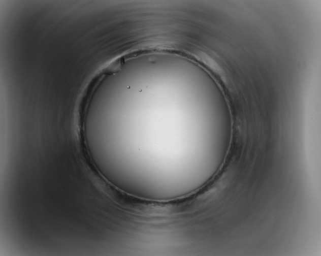 X0000089850981200707121715
