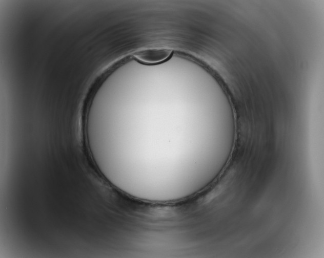 X0000089850982200707121715