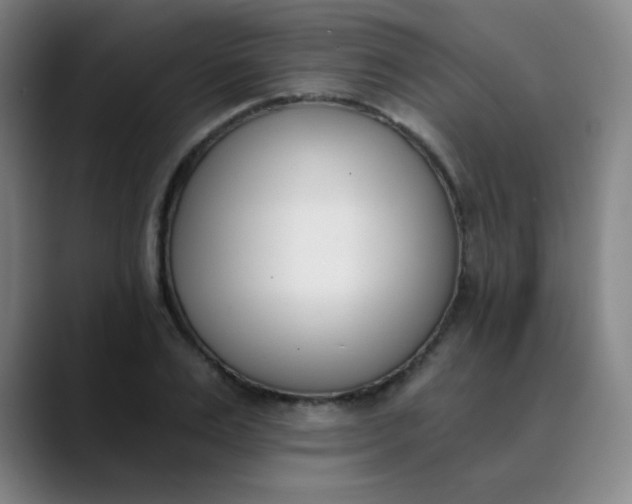 X0000089850983200707121715