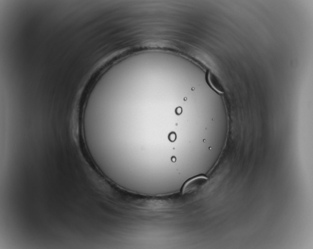 X0000089850984200707121715
