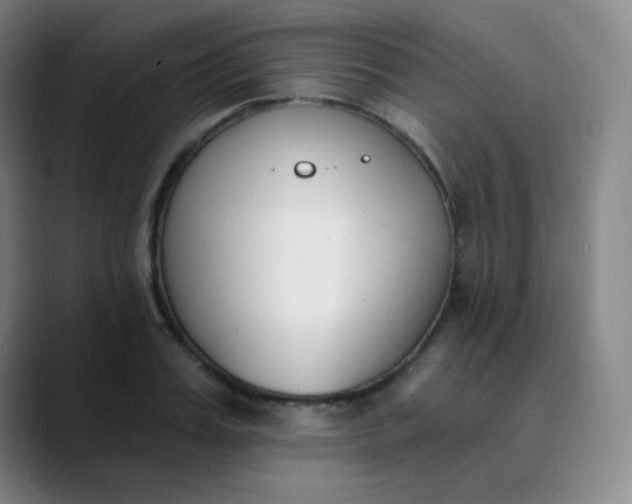 X0000089850987200707121715