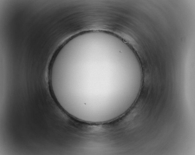 X0000089850990200707121715