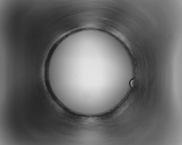 X0000089850991200707121715