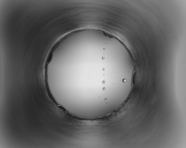 X0000089850996200707121714