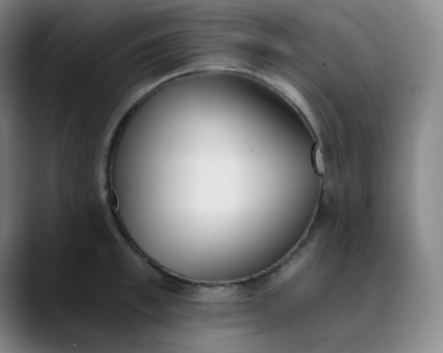 X0000089850997200707121714