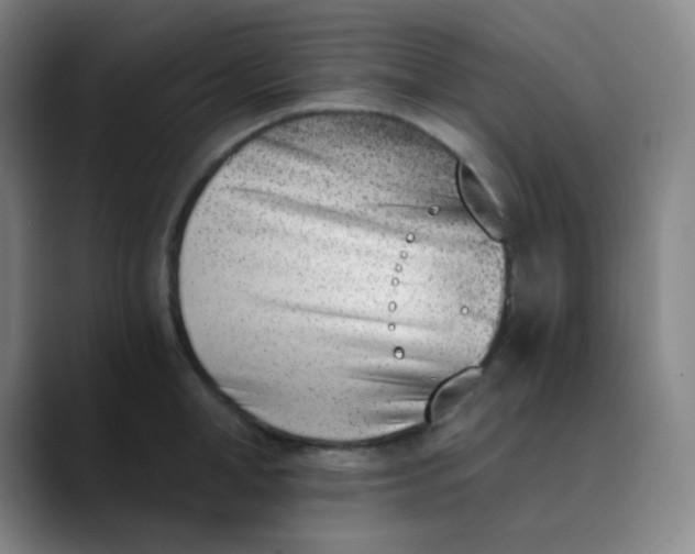 X0000089850998200707121714
